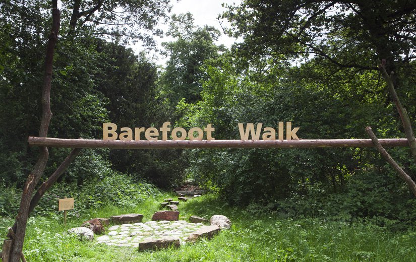 Kew Barefoot Walk 01-walk16.jpg